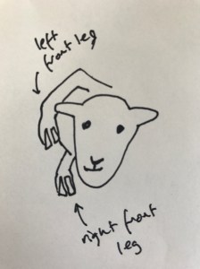 Presentation diagram